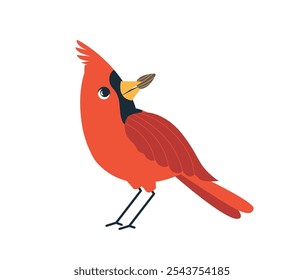 Red cardinal bird flat vector illustration isolated on white background. Cartoon comicnorthern cardinal bird eating seeds. Bird Watching and bird feeding minimal design, winter birds for prints.