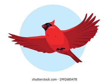 Red Cardinal bird flying in sky. Cute small bright Bird icon. Vector illustration for ornithology or nature design.