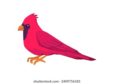 Red cardinal bird icon. Beautiful small bird with red plumage. Cartoon beautiful exotic wild bird from rainforest. Vector illustration of tropical fauna animal isolated on white