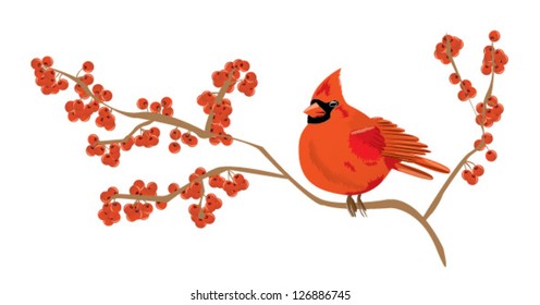 Red cardinal bird on a branch of red currant, isolated, EPS 10