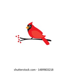 Red cardinal bird on branch vector,icon on a white background