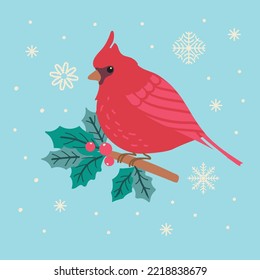 Red cardinal bird on holly branch. Vector illustration. 