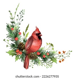 Red cardinal bird sitting on pine branch with cones, mistletoe leaves and red berries. Christmas card template design. Festive poster design. Vector illustration.