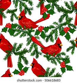 red cardinal bird vector. illustration background bird. 