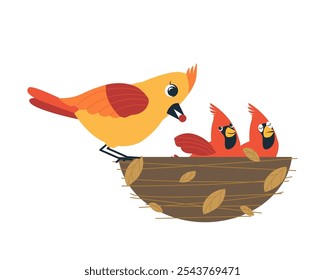 Red cardinal birds flat vector illustration isolated on white background. Cartoon comic northern female cardinal bird feeding her chicks in the nest, bird family. Bird Watching, winter birds. 