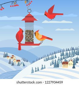 Red cardinal birds on feeder. Birdfeeding near winter rural community. Small bird of backyard minimal cartoon design. Bbirds feeding by sunflower seeds. Birdwatching background. Vector illustration