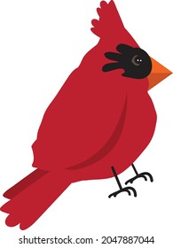 Red Cardinal Sitsю Cute Bird in cartoon style