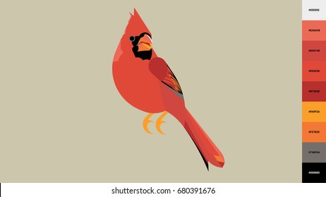 red cardinal vector illustration