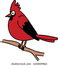 red cardinald bird hand drawn illustration,crayon texture,vector