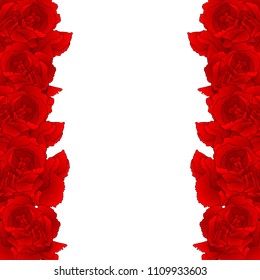 Red Carnation Flower Border, Dianthus caryophyllus - Clove Pink. National flower of Spain, Monaco, and Slovenia. Vector Illustration. isolated on white Background.