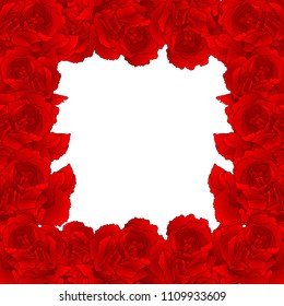 Red Carnation Flower Border, Dianthus caryophyllus - Clove Pink. National flower of Spain, Monaco, and Slovenia. Vector Illustration. isolated on white Background.