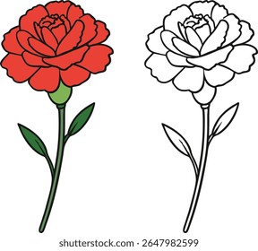 Red Carnation Flower and Outline Vector Illustration on White Background green stem