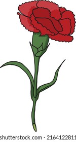 a red carnation flower with two green leaves