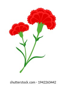 ilustración vectorial de flores de carnación roja