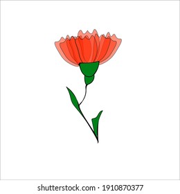 Red carnation. Isolated vector illustration on a white background.