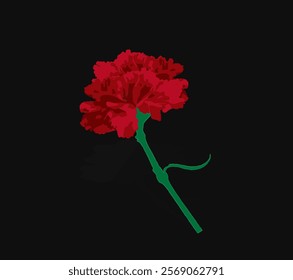 Red carnation on a black background, minimalist and impactful graphic design