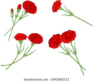 Red carnation on transparent background. Set of illustrations for design of postcard for May 9th