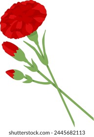 Red carnation on transparent background. Vector illustration for decoration of postcard for May 9th