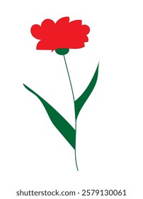 a red carnation on a white background,