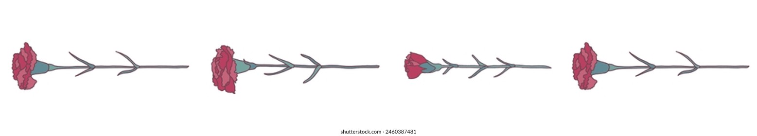 Red carnation vector illustration line