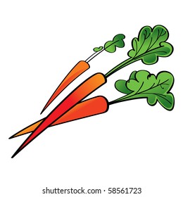 Red Carrot