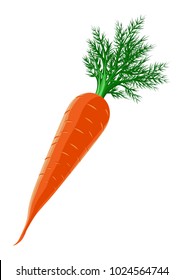 The red carrot. Vector. Art. Carrot with green leaves.