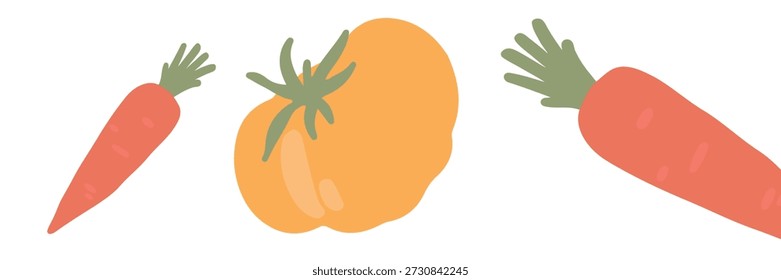 Red Carrot Yellow Tomato Vector Banner Header Healthy Food
