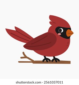  Red cartoon cardinal bird on a branch vector illustration isolated on white background