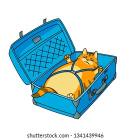 Red cartoon cat lying in a blue suitcase. Vector illustration