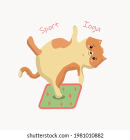 Red cartoon cat on green mat in yoga position. Vector illustration isolated on white background. T-shirt print design.