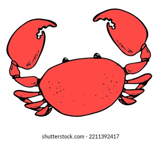 a red cartoon crab, hand-drawn in sketch style. crab black outline red color with large claws seafood restaurants. red crab. drawing of a marine animal