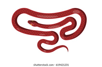 Red cartoon flat snake isolated on white background. Vector illustration of dangerous cold-blooded scaly reptile that lives all over world. Picture of wild world s representative that can poison.