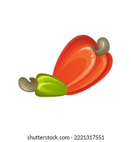 Red cashew nut. Unripe and ripe exotic yellow fruit with green leaves. Cartoon vector illustration.