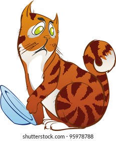 Red cat asks for meal