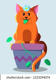 A red cat ate a plant