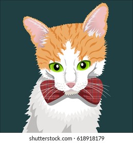Red cat a bow tie on a green background