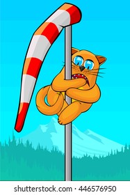 Red cat climbed on a windsock. The cat is on the high altitude. Cat terribly, he clung to the mast and rolled his eyes. Cartoon vector illustration with isolated objects.