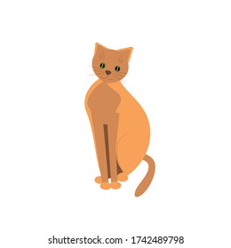 
Rote Katze im flachen Stil. Cartoon cute Katze isoliert auf einem weißen Hintergrund. Haustiere. Vector-Abbildung.