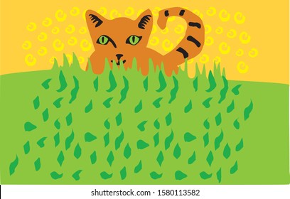 red cat in a green field