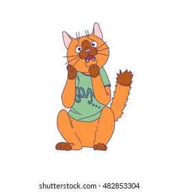 Red cat in a green T-shirt