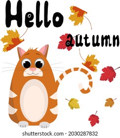 The red cat is happy about autumn. Vector illustration of lettering hello autumn