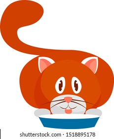 Red cat, illustration, vector on white background.