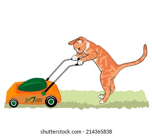 Red cat with a lawnmower