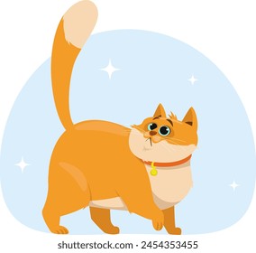 Red cat looking overhead, pet walking. Stock vector illustration