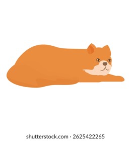 Red cat lying down stretching paws on white background