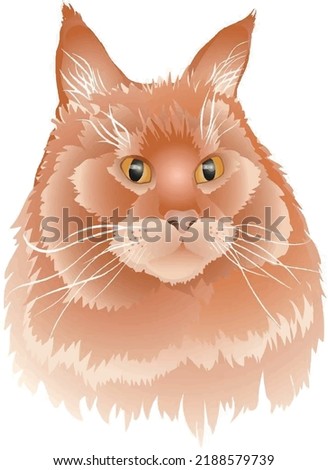 Red cat Maine Coon vector color image