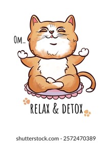 red cat in meditation relax and detox