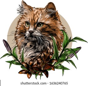 red cat muzzle round composition decorated with Lily flowers, sketch vector graphics color illustration on a white background