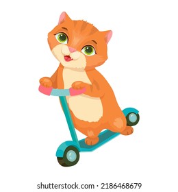 Red cat on a blue scooter. Summer fun. Pet. Kitten. Vector illustration.