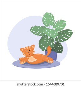 Red cat on a rug and a monstera. Flat vector illustration